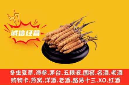 杨浦区回收冬虫夏草